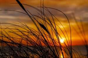 allshoppingimagesvideosnewsmapsbooksflights