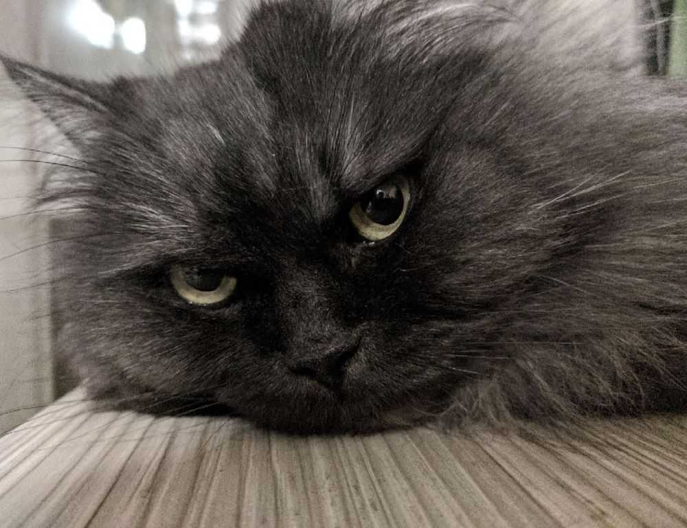 pc gaming chronotriggerpatchv19y32c1