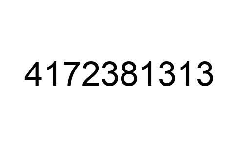 4172381313