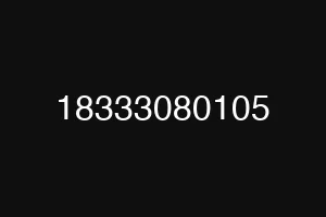 18333080105