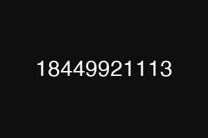 18449921113