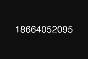 18664052095