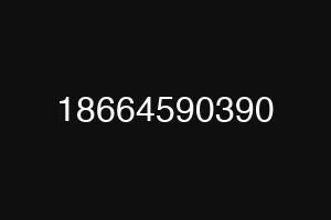 18664590390