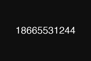 18665531244