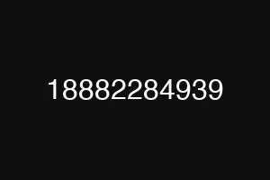 18882284939