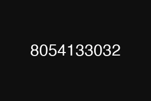 8054133032