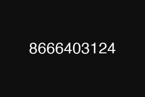 8666403124