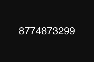 8774873299