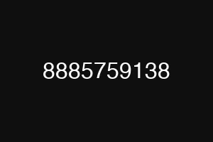 8885759138