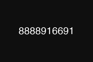 8888916691