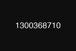 1300368710