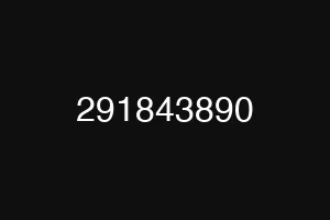 291843890