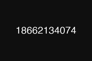 18662134074