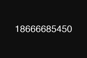 18666685450