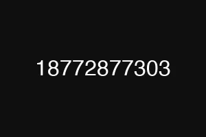 18772877303