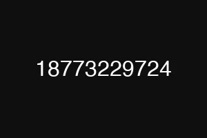 18773229724