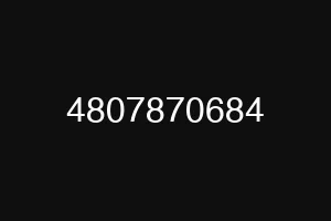 4807870684