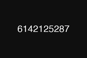 6142125287
