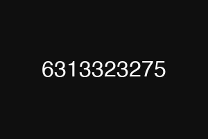 6313323275