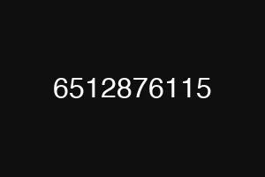 6512876115