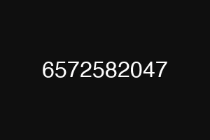 6572582047