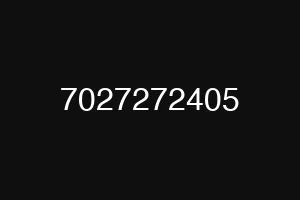 7027272405