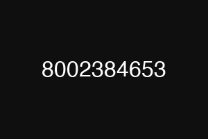 8002384653