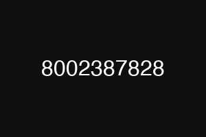 8002387828