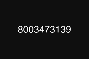 8003473139