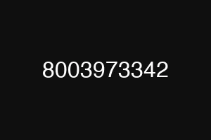 8003973342