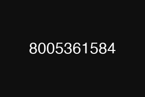 8005361584