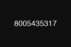 8005435317