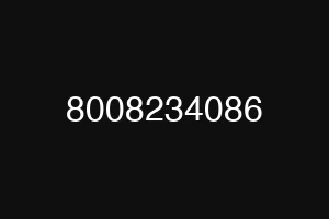 8008234086
