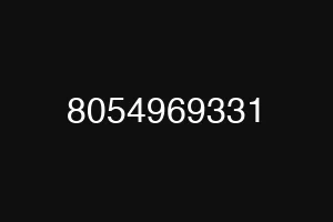 8054969331