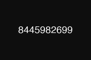 8445982699