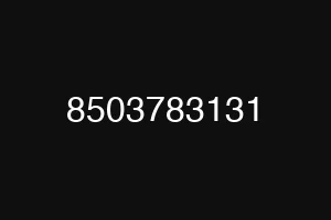 8503783131