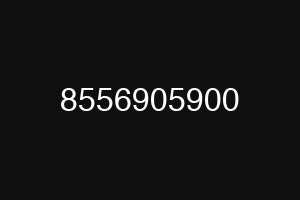 8556905900