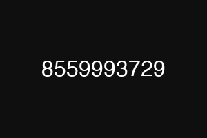 8559993729