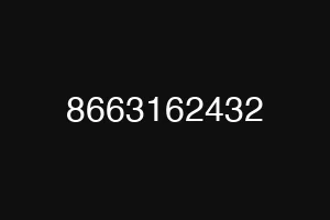 8663162432