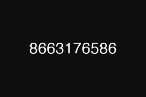 8663176586