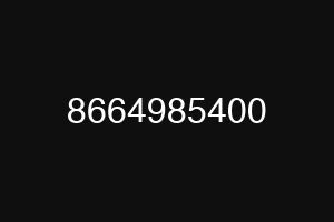 8664985400
