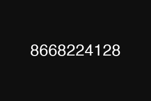 8668224128