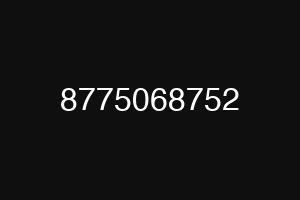8775068752