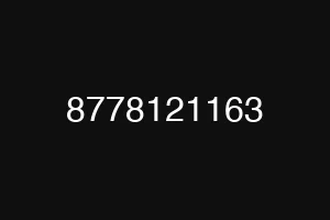 8778121163