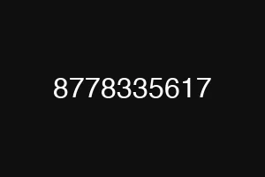 8778335617