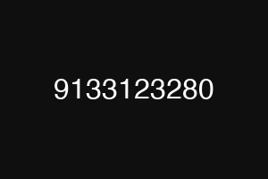 9133123280