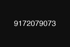 9172079073