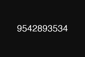 9542893534