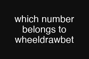 which number belongs to wheeldrawbet