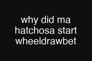 why did ma hatchosa start wheeldrawbet